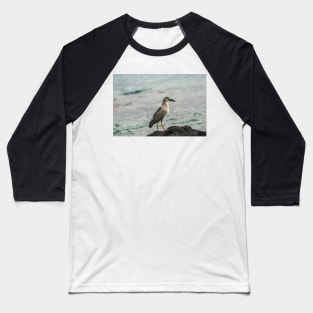 Black-crowned night heron of hawaii 4 Baseball T-Shirt